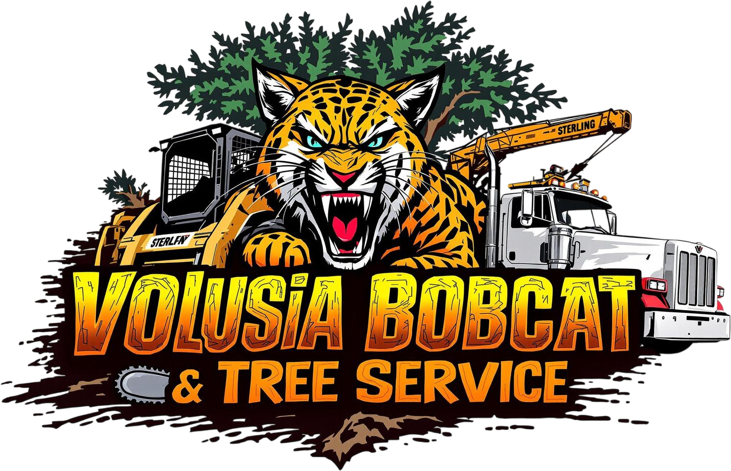 Volusia Bobcat & Tree Service | Tree Service Near Me