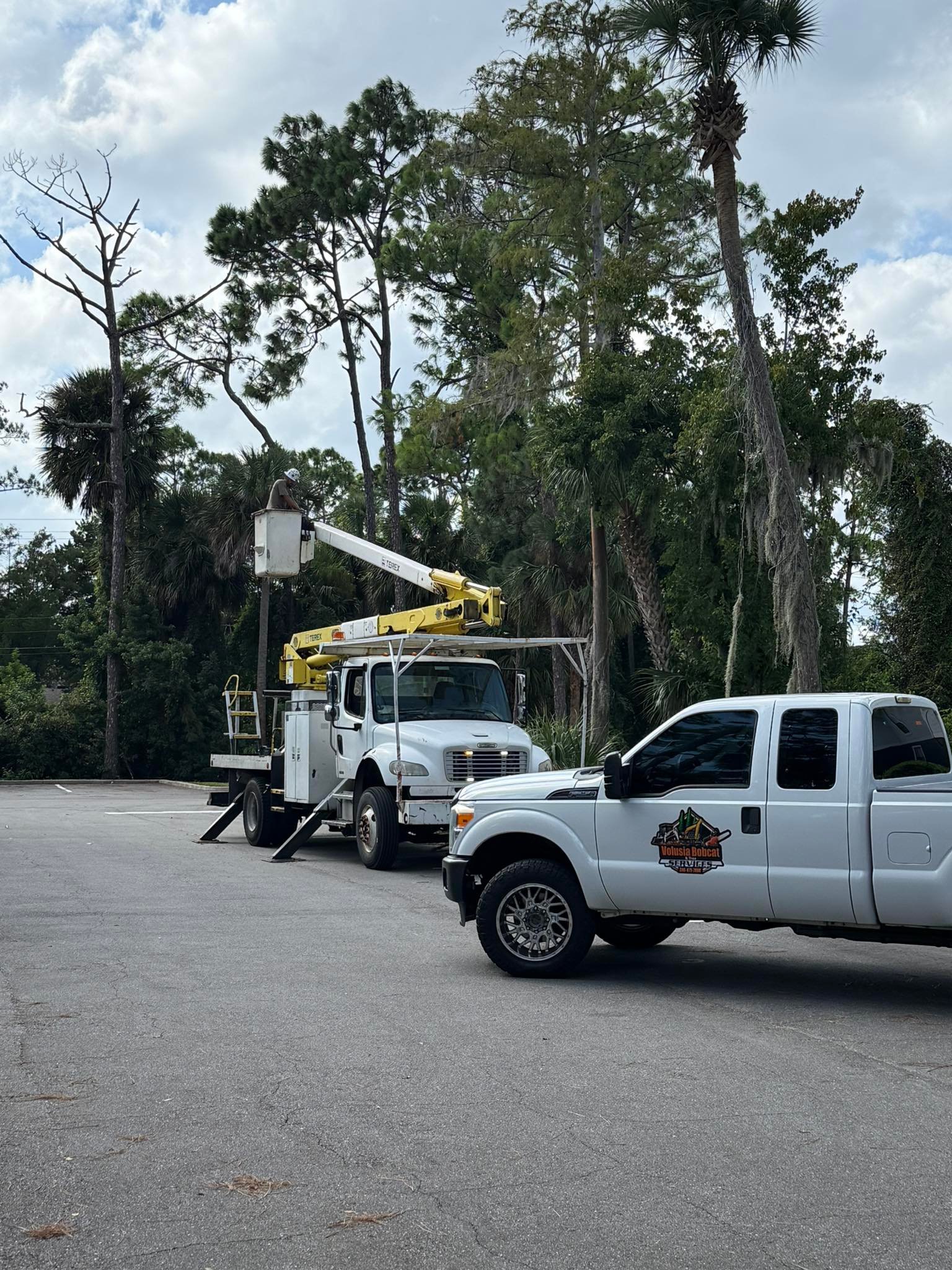 Volusia Bobcat and Tree Service crew completing tree work in DeLand Florida