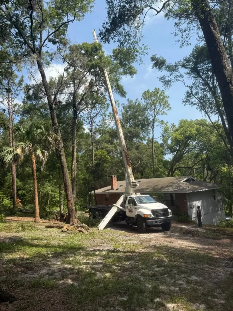 A large truck with a crane working on tree removal near a house in a wooded area.