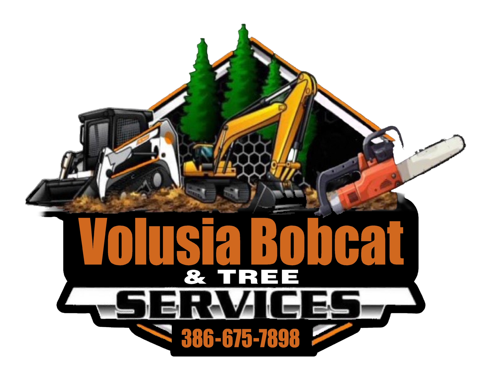 Tree Service Near Me | Florida's Expert Tree care