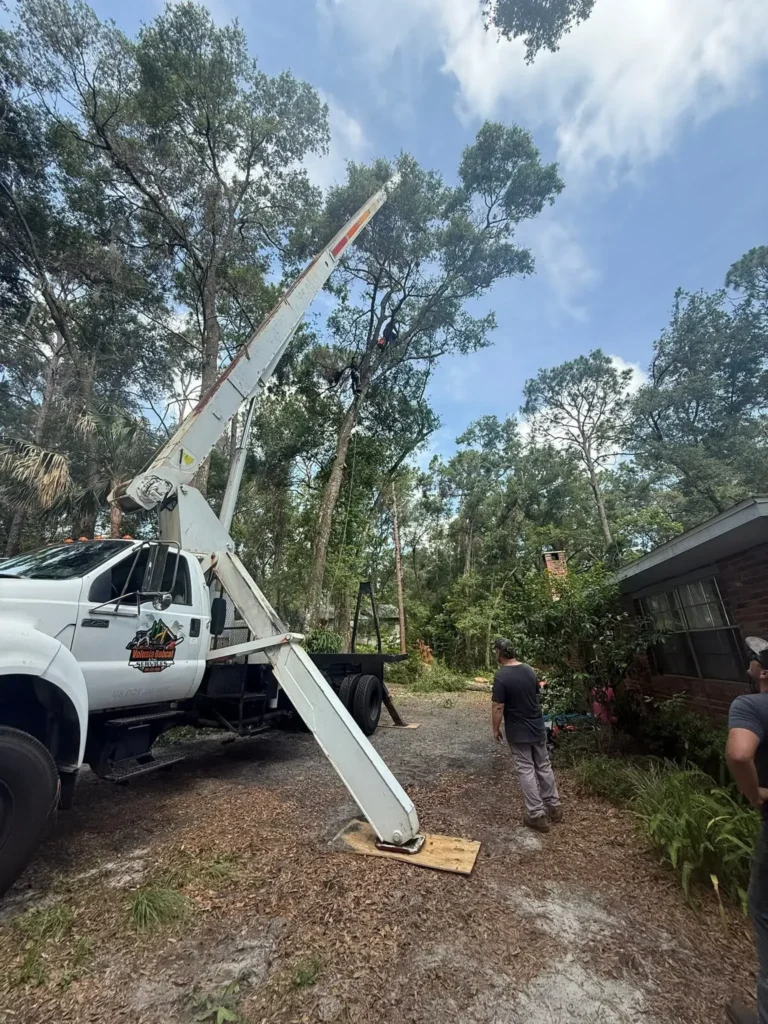Tree removal truck with crane and workers in a wooded area.