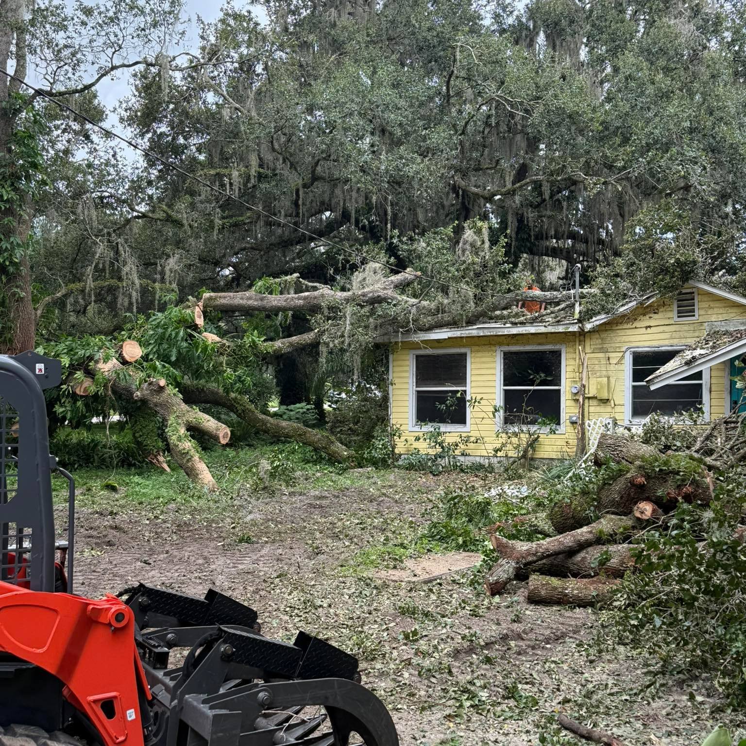 Tree service equipment and crew working on a Volusia County property