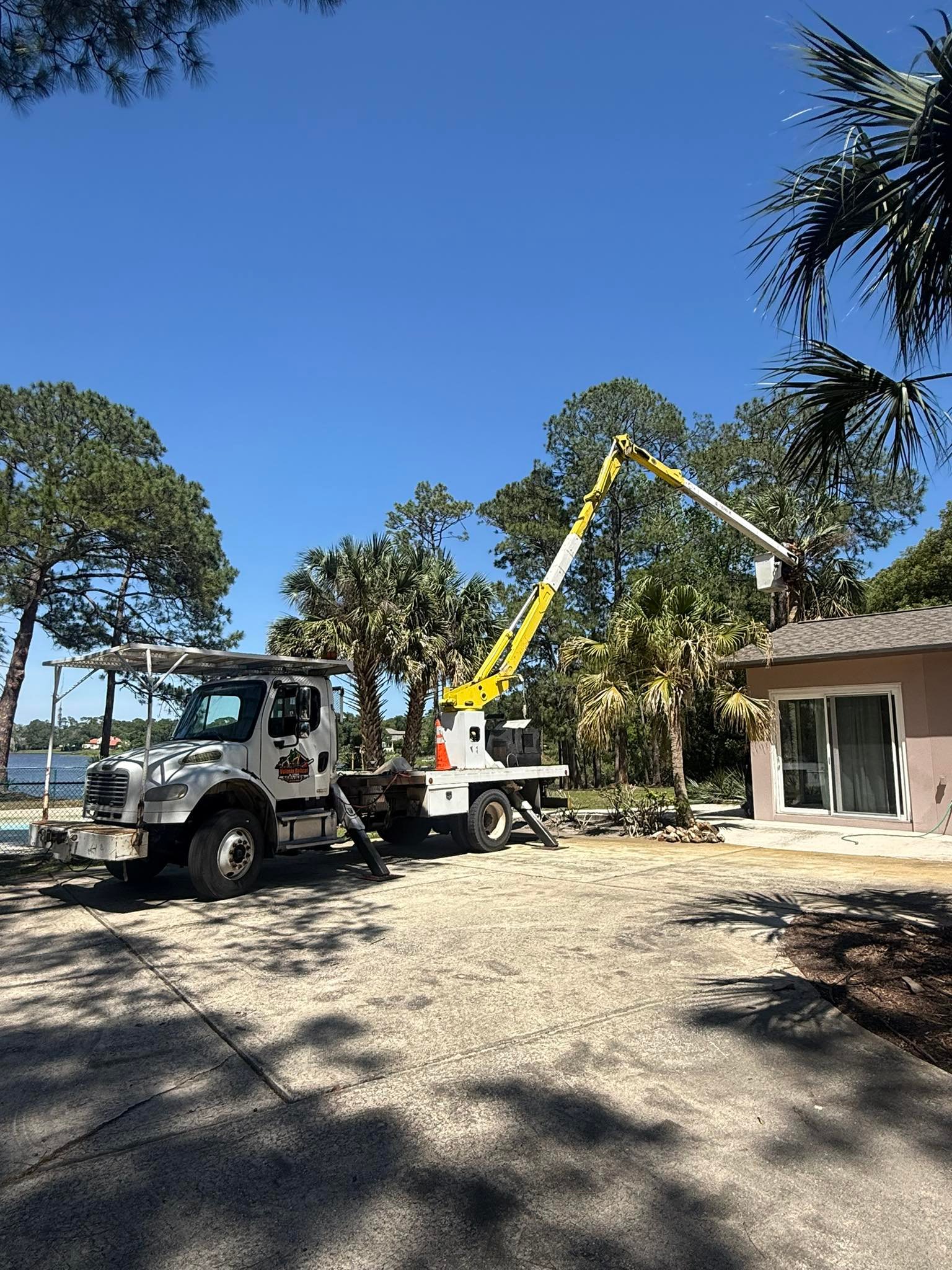 Professional tree removal project in DeLand Florida
