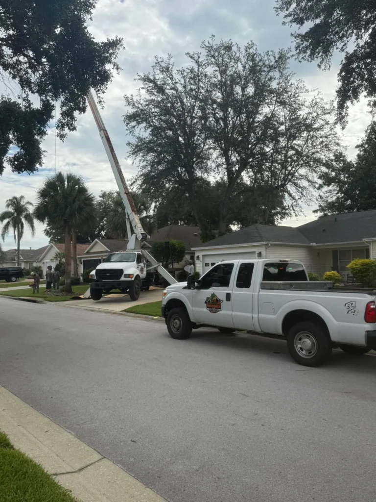 Homeowner consulting with a local arborist about tree health, emphasizing trust in emergency tree services