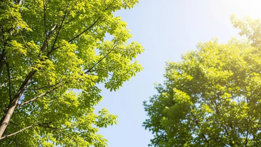 Healthy tree thriving after professional pruning, highlighting benefits of tree care