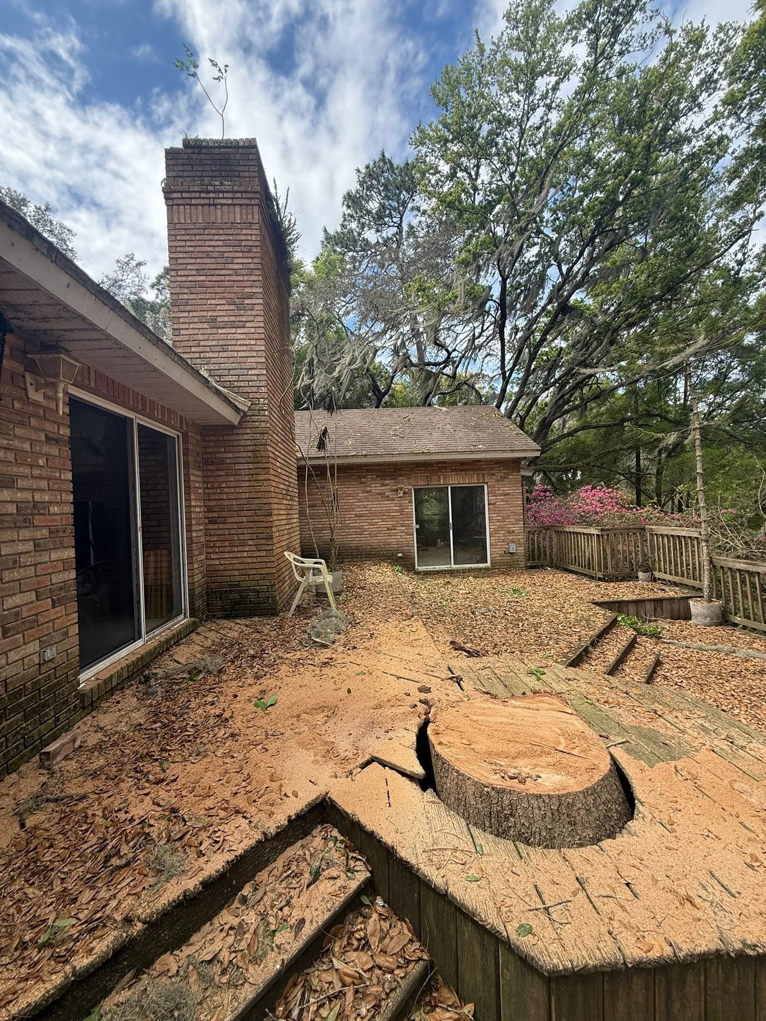 Residential stump removal project in Volusia County