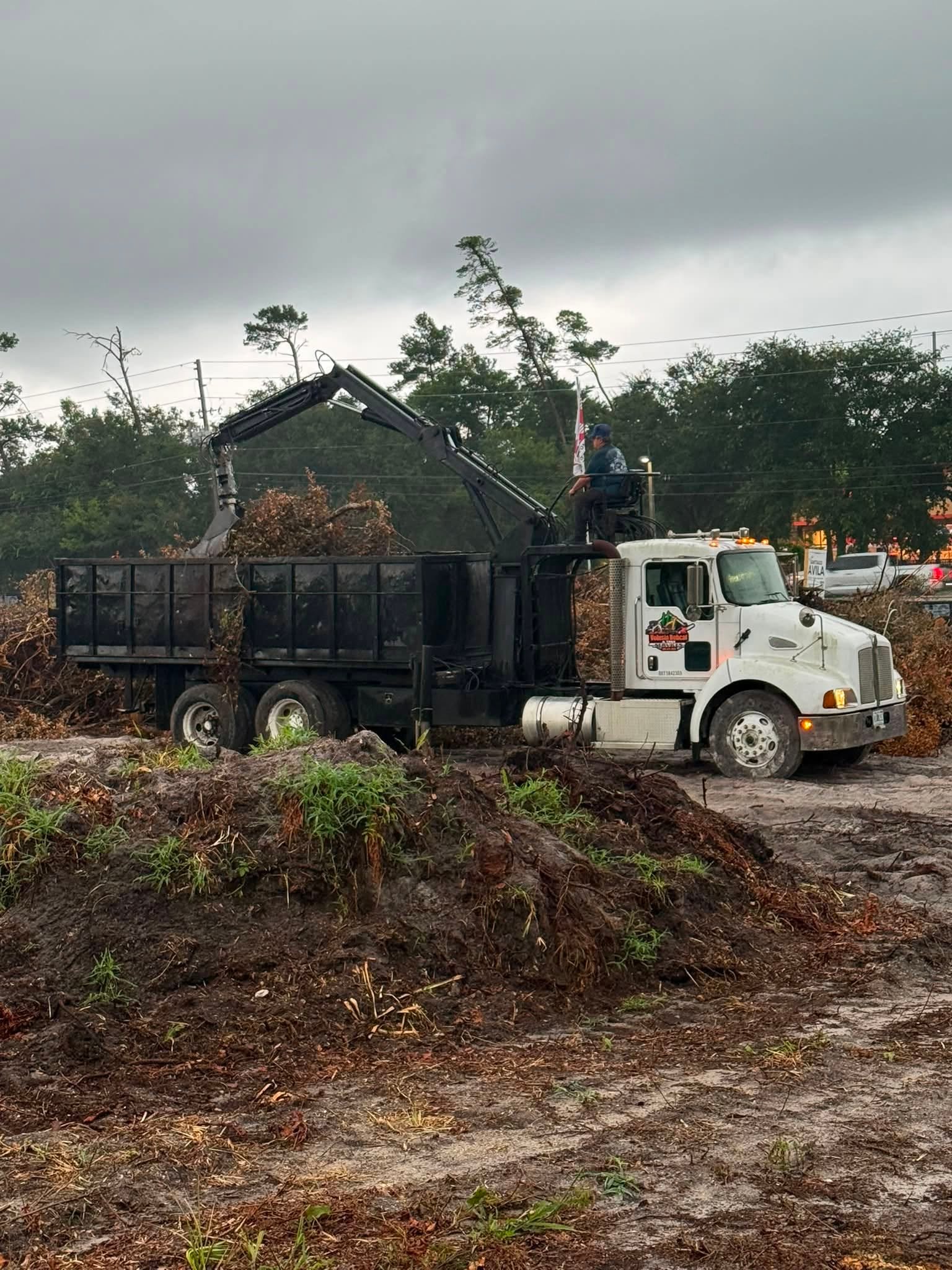 Completed grapple truck debris cleanup in DeLand Florida