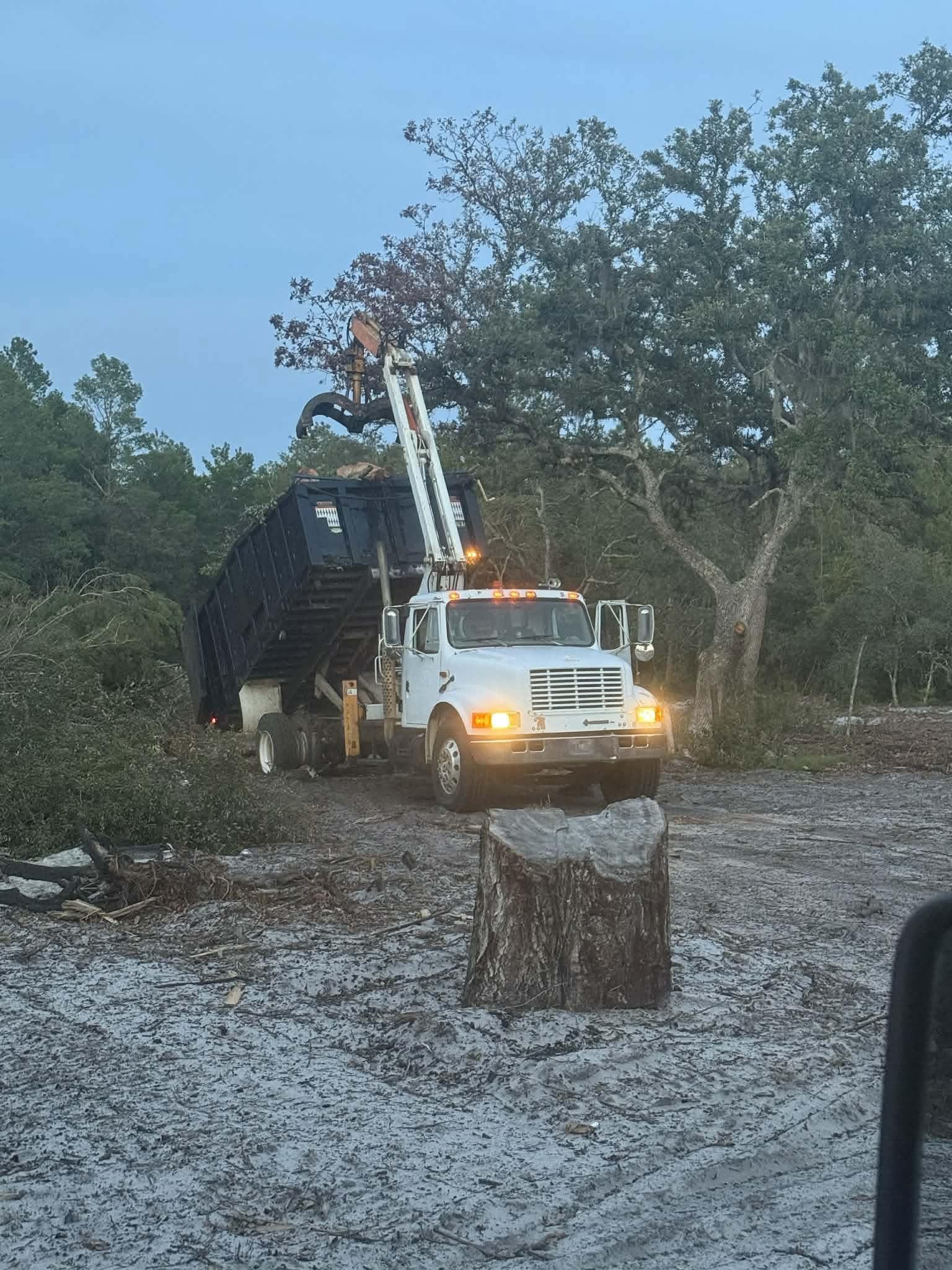 Large brush and log pile pickup near DeLand Florida