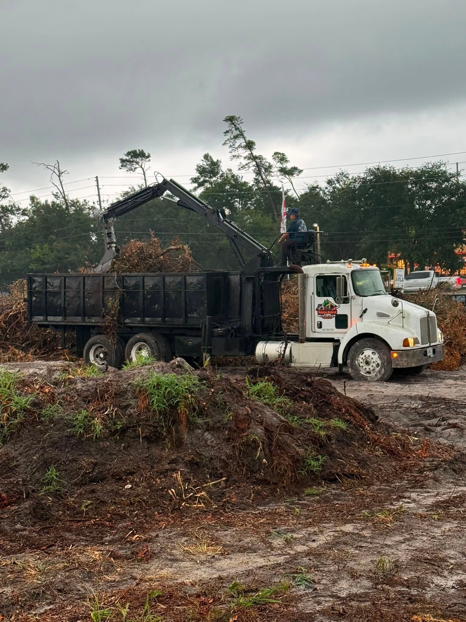 Completed grapple truck debris cleanup in DeLand Florida