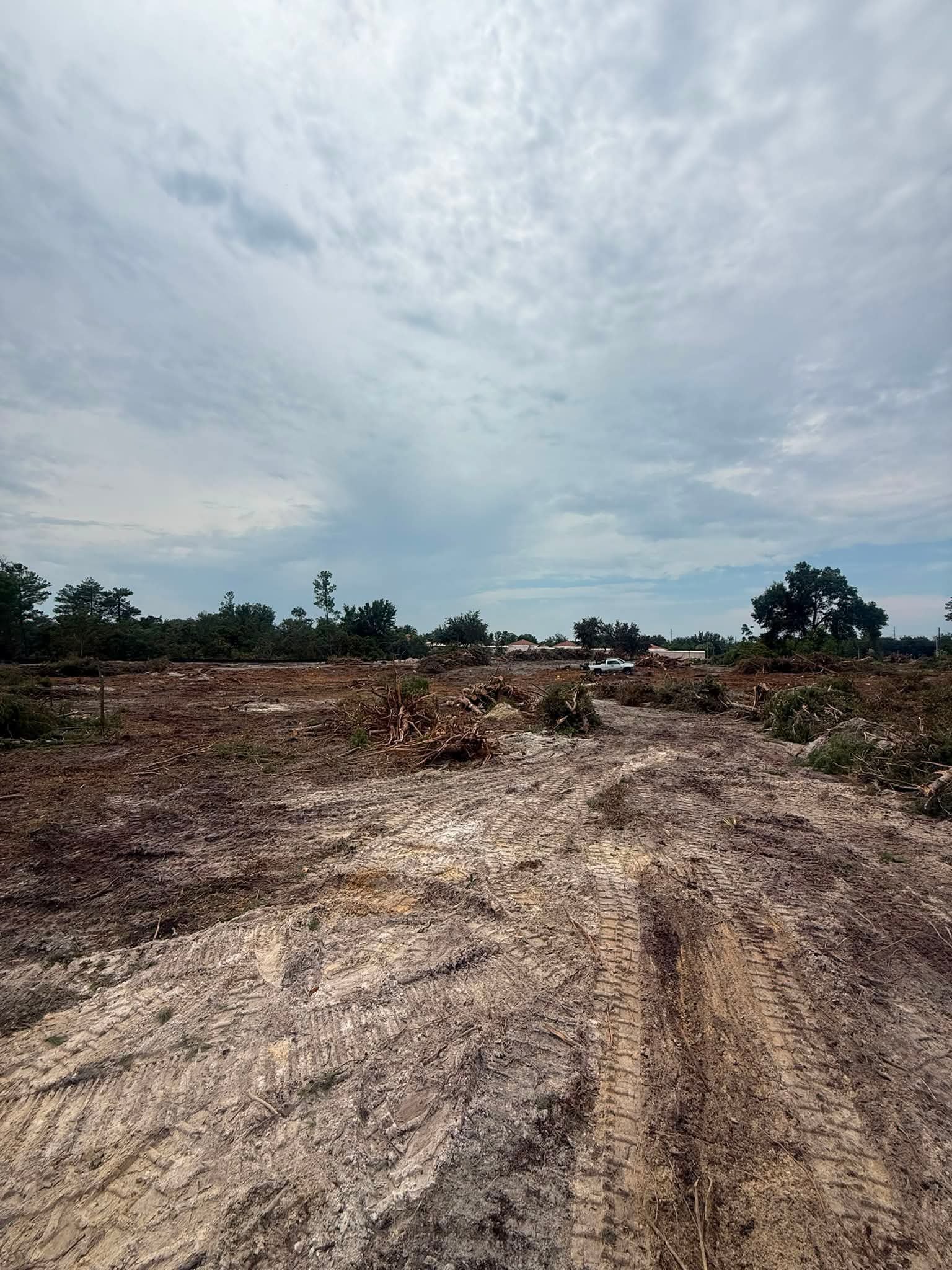 Volusia Bobcat & Tree Service land-clearing equipment